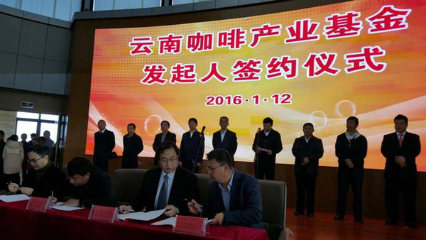 双轮驱动 云南咖啡产业迈向现货交易与精品加工新时代